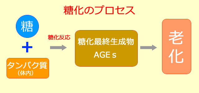 糖化のプロセス