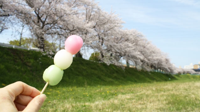 団子と桜並木