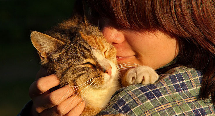 抱かれる猫