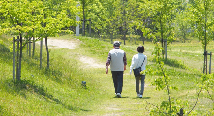 日曜の過ごし方